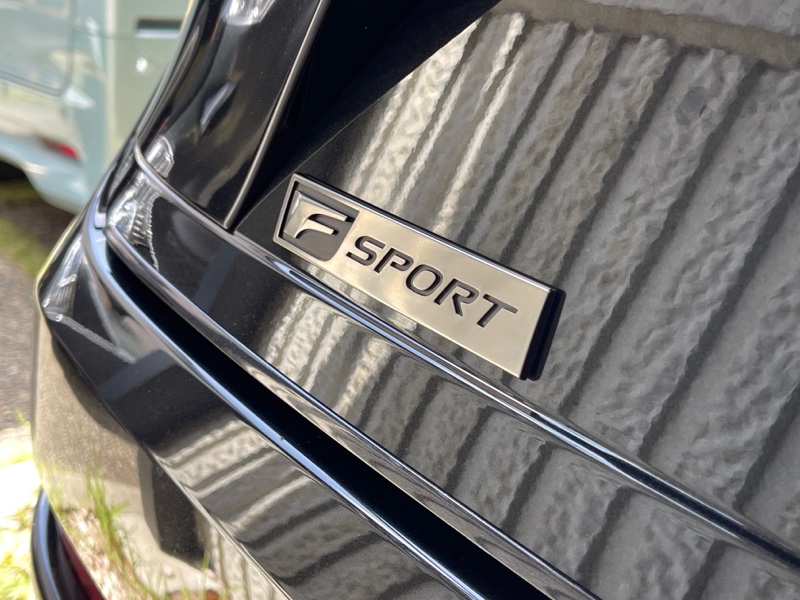 F SPORTエンブレムブラック塗装（レクサス NXハイブリッド・AAZH20系