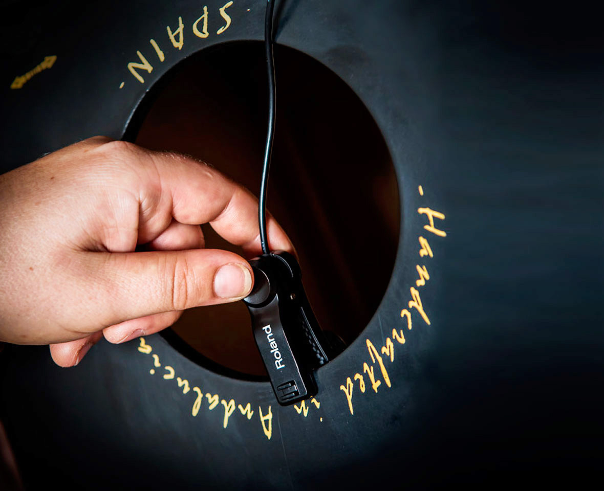 Roland India - EC-10M | ELCajon Mic Processor