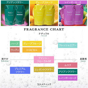 バーデンス シャンプートリートメント（トロピカルの香り） | 大阪府堺