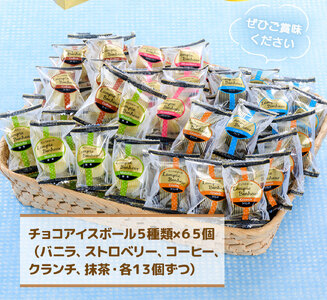 製造終了】A002 チョコアイスボールセット（65粒入） 5種類×13個