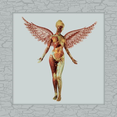 In Utero(30th Anniversary) [輸入盤][8LP][Super Deluxe][アナログ