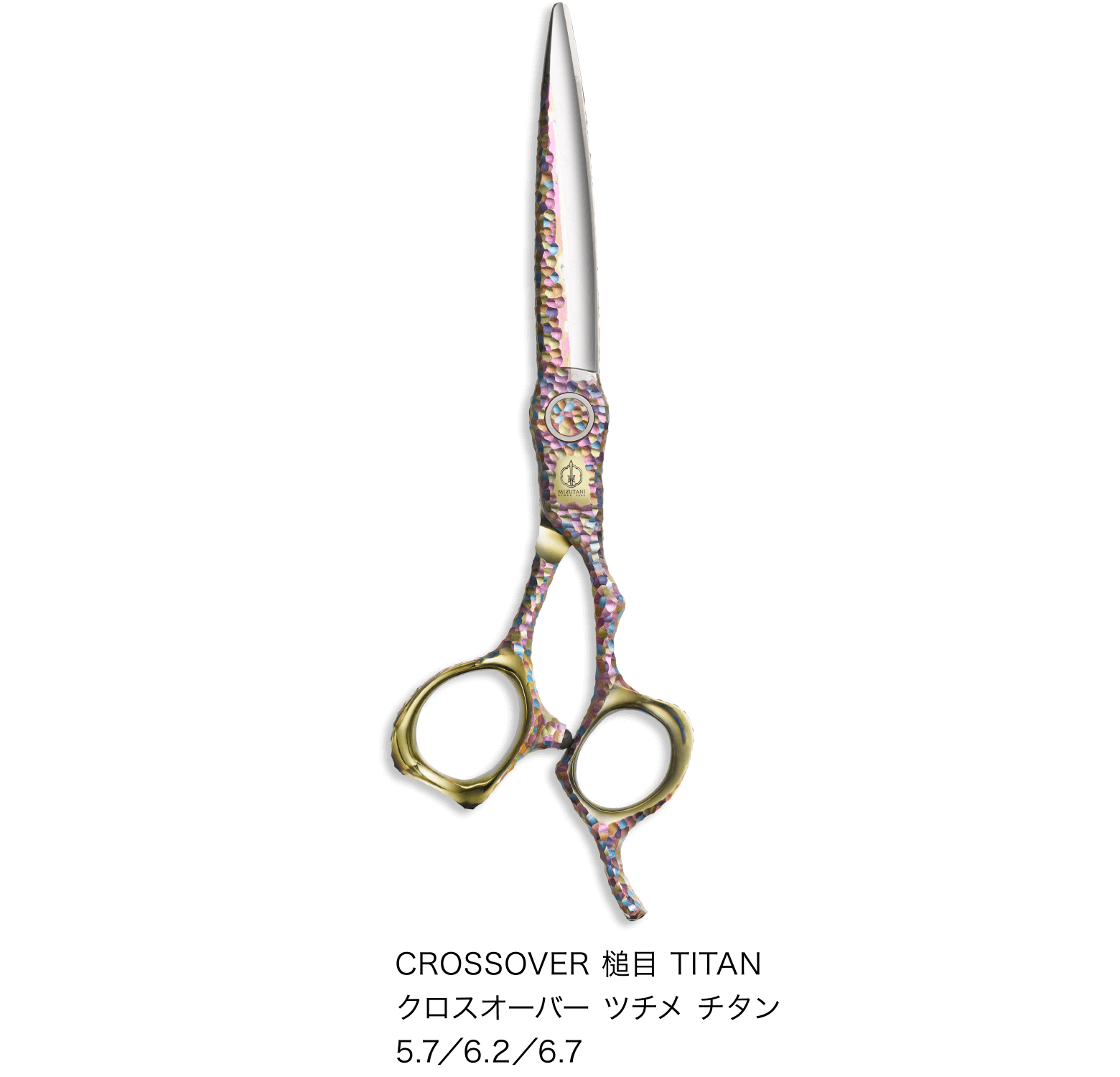 特集 メンズカット応援フェア 2024 | ミズタニシザーズ