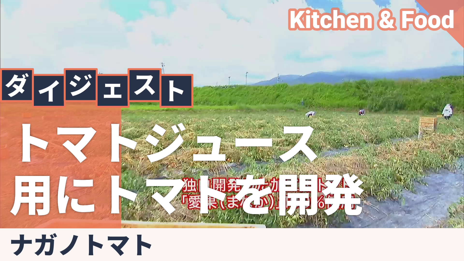 信州生まれのおいしいトマト〈愛果〉190g30缶 ナガノトマト - QVC.jp