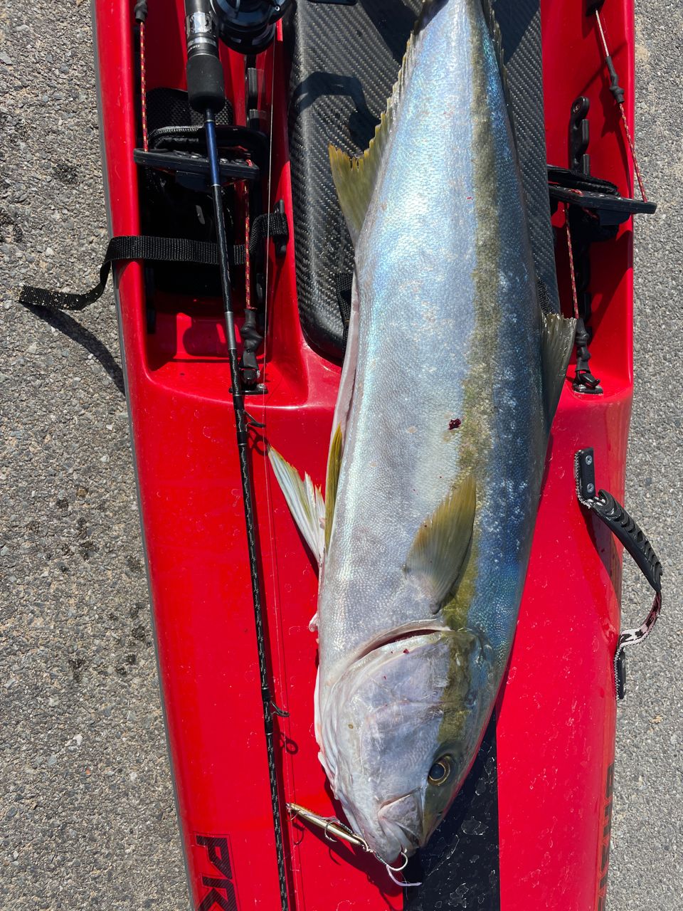 SHIMANO 19グラップラー タイプスローJ B68-3の最安値・インプレ・釣果