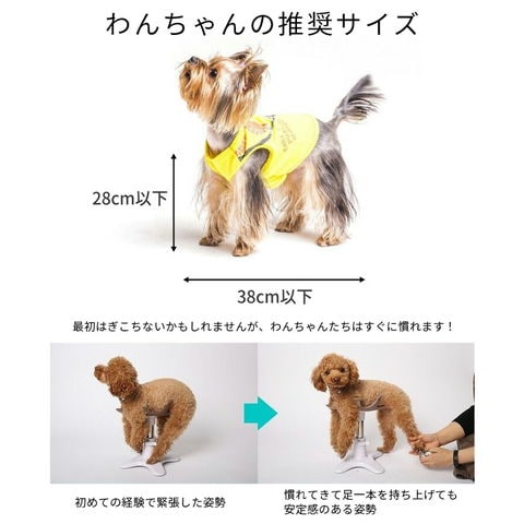 dショッピング |新 Samson salon サムソン・サロン ペット専用チェア