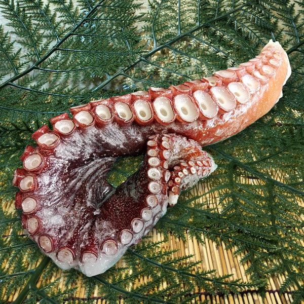 札幌二条市場 能登水産 / 冷凍 水タコ足（極太） 1本