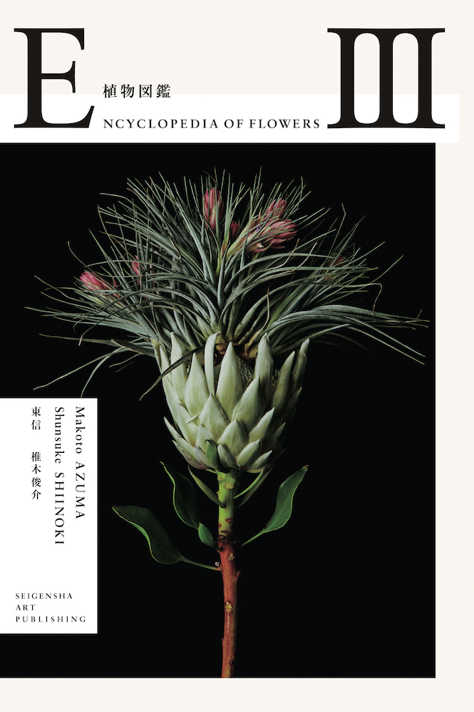 Encyclopedia of Flowers III | 青幻舎 SEIGENSHA Art Publishing, Inc.