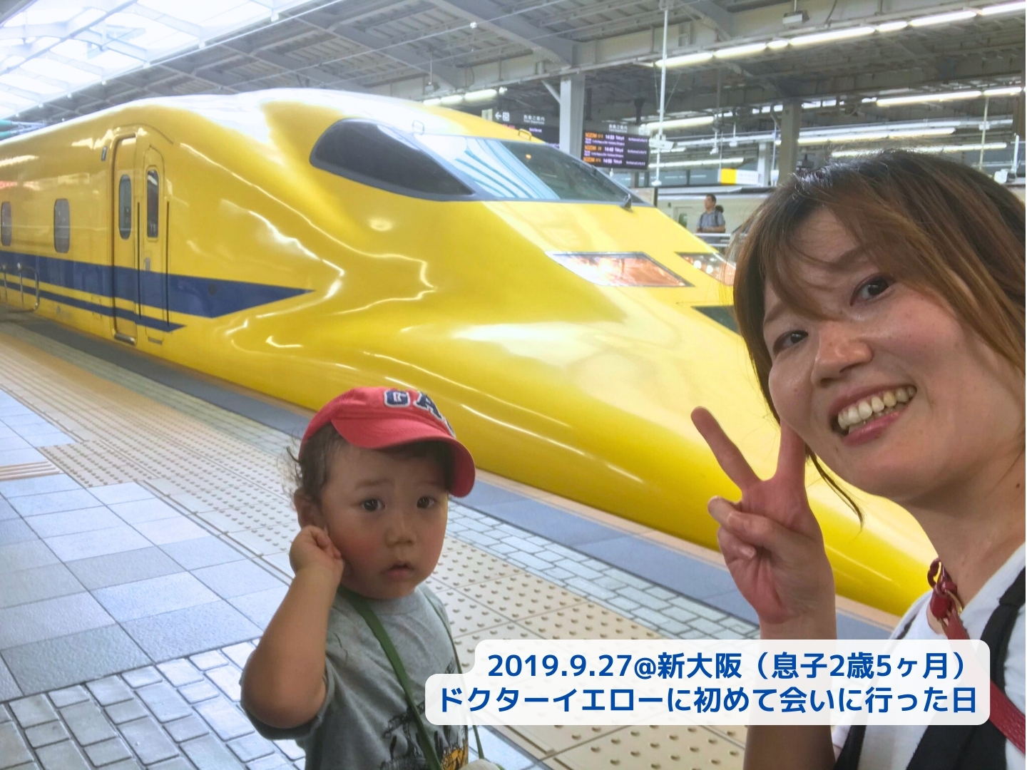 超レア再販！】即完売した幸せを運ぶハンカチ！フェイラー×ドクター