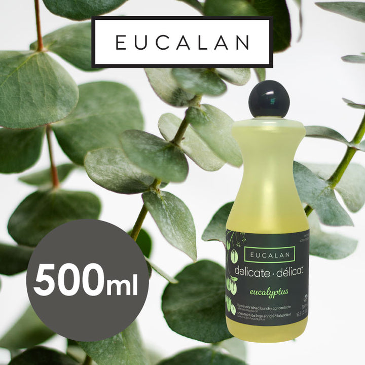 eucalyptus500_720x.jpg?v=