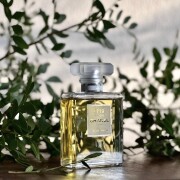 Chanel No 19 Poudre Chanel perfume - a fragrance for women 2011