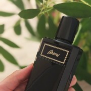 Brioni Eau de Parfum Intense Brioni cologne - a fragrance for men 2021