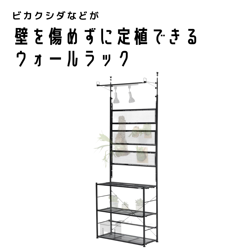 新発売】ビザールプランツウォールラック LPW-2100｜賃貸OK室内育成