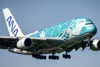 フライングホヌ ラー/3号機」特別塗装機 全日空 (A380 | JA383A