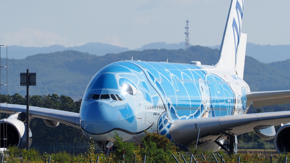 コロナに大きく翻弄された”日本最後の巨人機” ANA「フライングホヌ」6