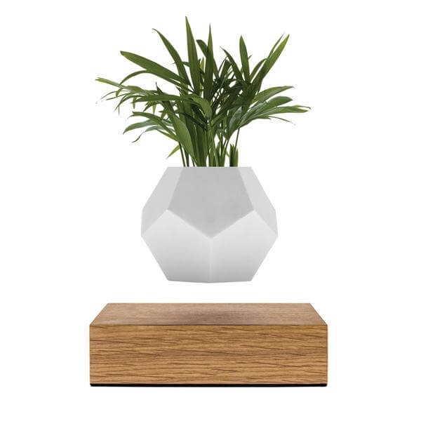 Lyfe – Levitating Planter by Flyte