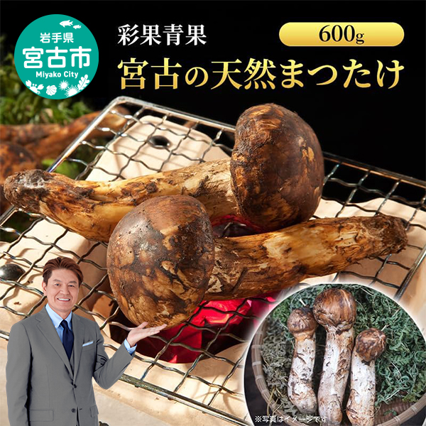 宮古の天然まつたけ600g 宮古産 まつたけ 天然まつたけ きのこ 野菜