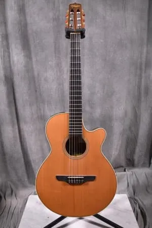 Takamine/タカミネ エレガット/クラシックギター NPT-110N - 楽器の