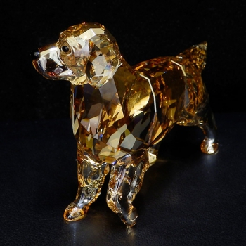 ジェムラインジャパン - 公式サイト - / SWAROVSKI スワロフスキー