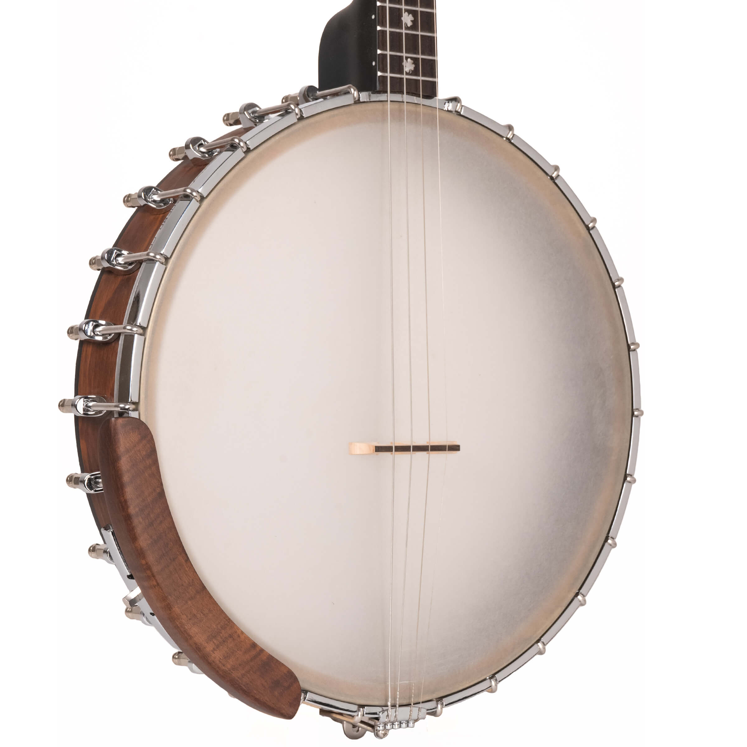 IT-19: Irish Tenor Banjo with 19 Frets and Gig Bag | Gold Tone