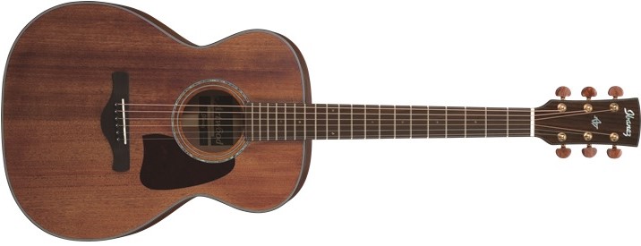 アコースティックギター】Ibanez Artwoodシリーズよりオール単板