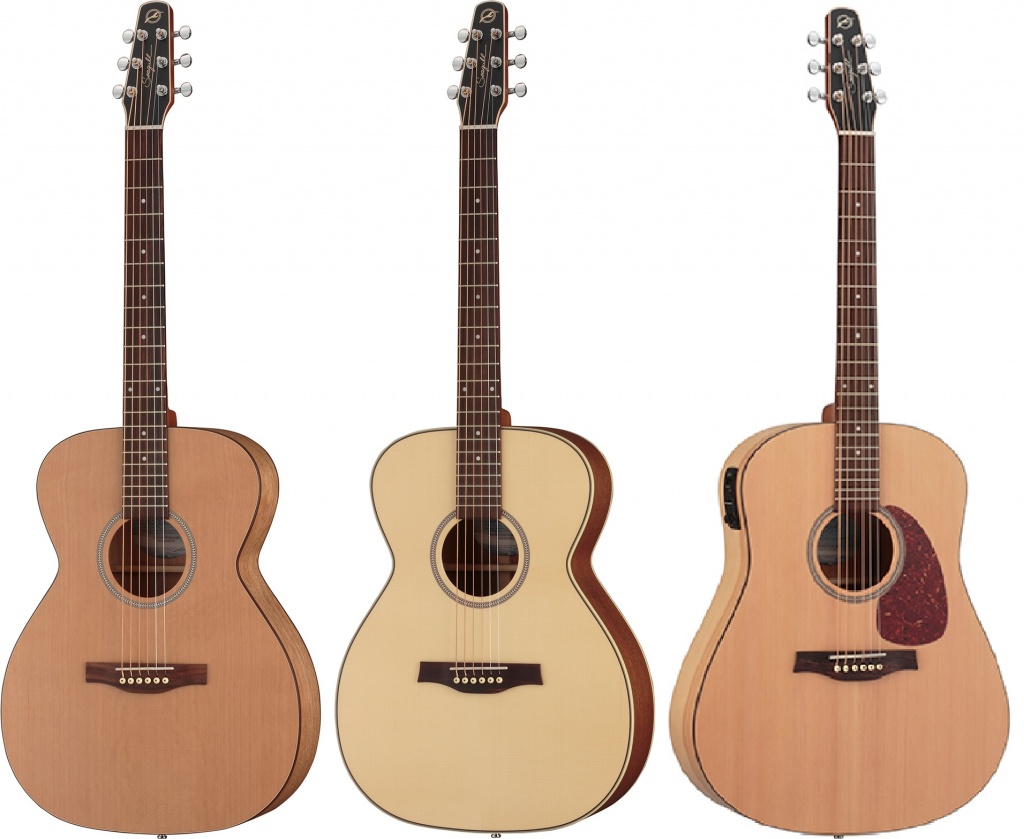 アコースティック/エレアコギター】Seagullより新しいボディシェイプ