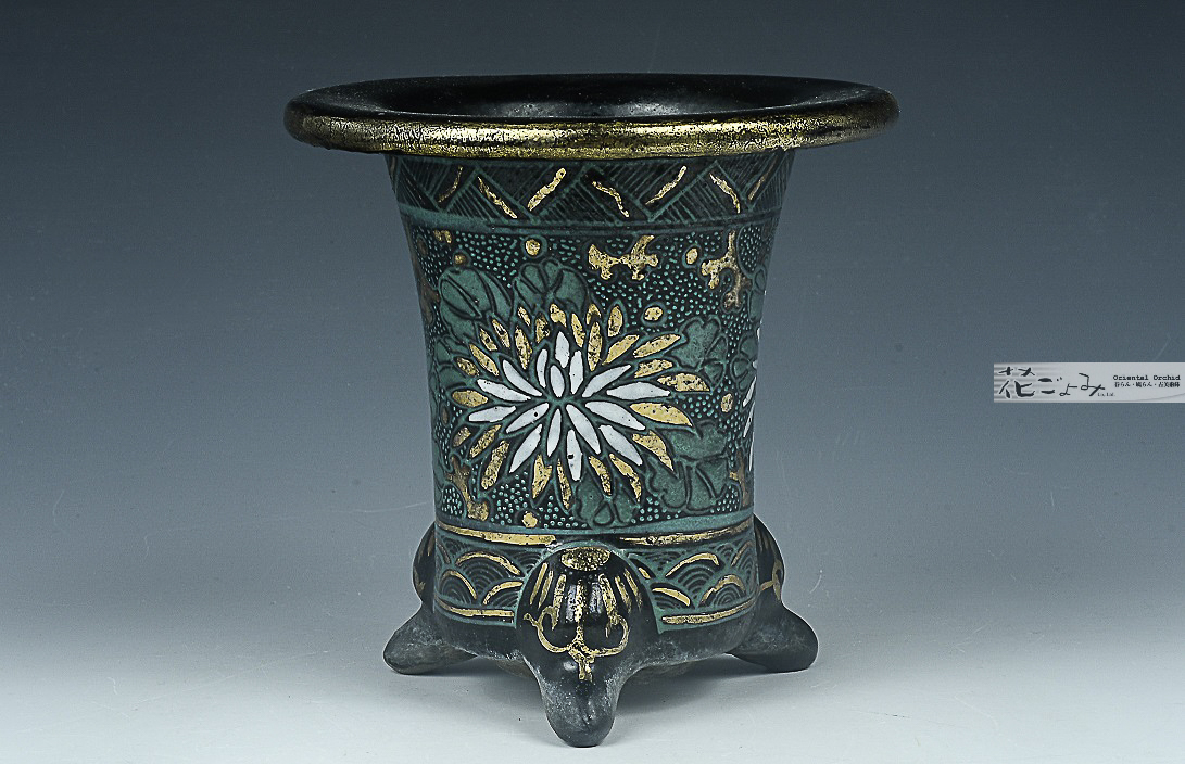 京樂古鉢【菊花青海波文京樂万年青古錦鉢】 - 東洋蘭専門店 花ごよみ