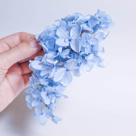 プリザーブド】OrangeDeco/あじさいパステル スカイブルー 6g/ZA-518