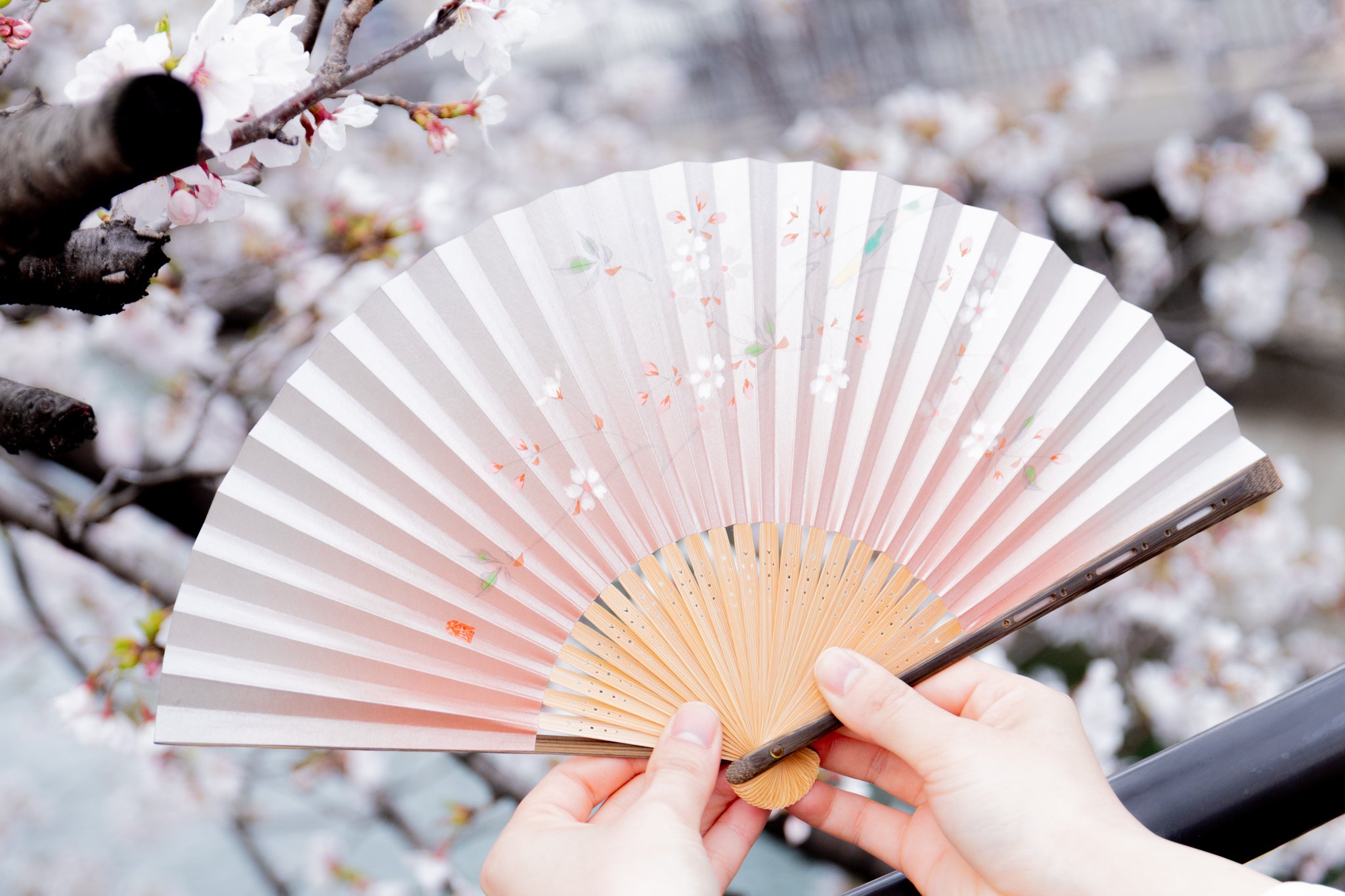 花詩 扇子セット（全3種類） – 白竹堂オンラインショップ