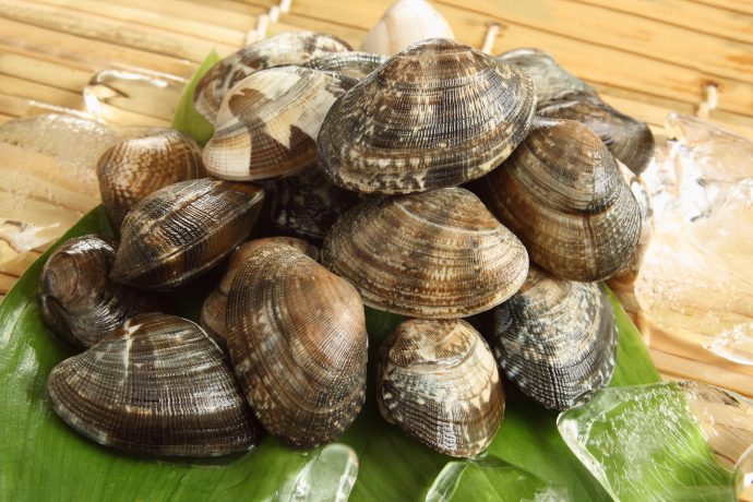 アサリについて改めてご紹介します | 【公式】瓢嘻（ひょうき）｜全席