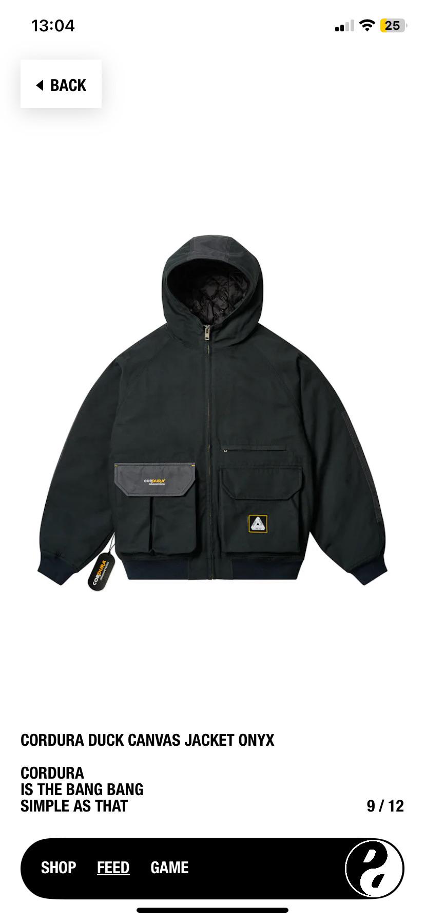 Could I survive winter in this jacket? : r/PalaceClothing