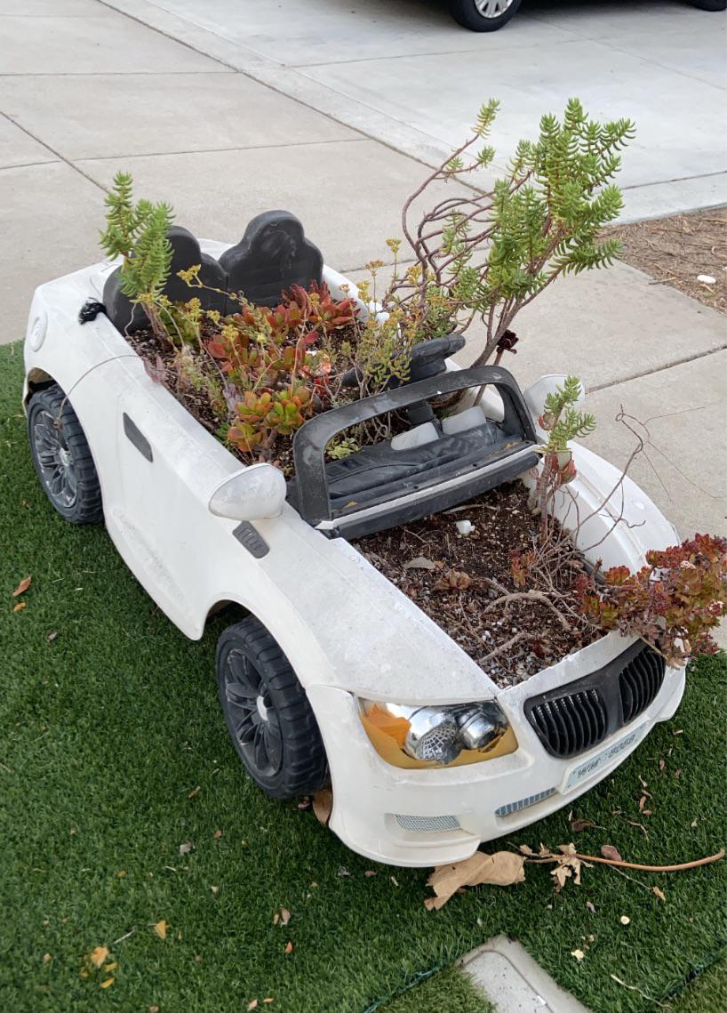 This Toy Car Converted into a Planter : r/mildlyinteresting