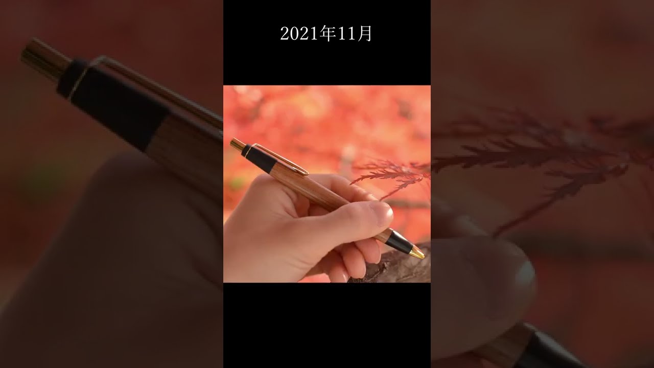 野原工芸 欅 mpの半年間の経年変化【シャーペン】【フラグ】 - YouTube