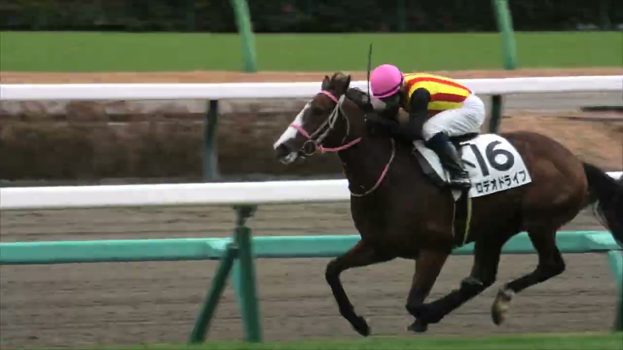 2025 12 21 中山競馬場第5レース メイクデビュー中山（新馬戦）カナル