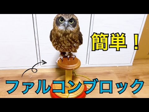 フクロウ飼育者便利アイテム🦉ファルコンブロックの作り方🛠 Owl