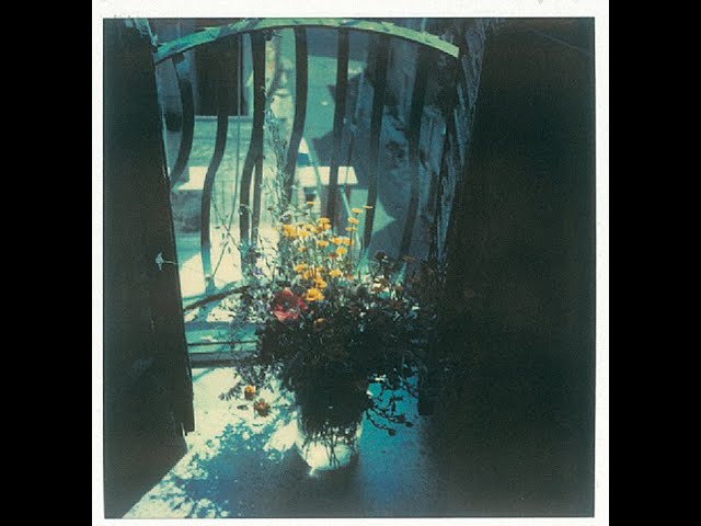 Instant Light (Andrei Tarkovsky's Polaroids) - YouTube