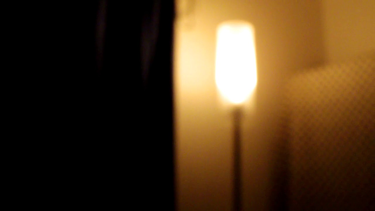 波多野裕文『僕が毎日を過ごした場所』CD | とぶ商店