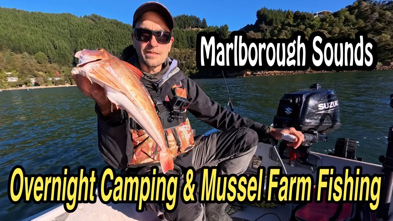 Insta 360 Ace Pro 2 REAL WORLD TEST - Camping & Fishing Adventure