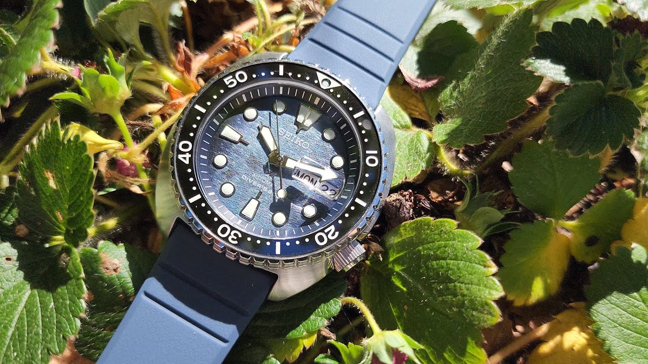 Seiko King Turtle SRPF77 Dark Manta - Review - YouTube