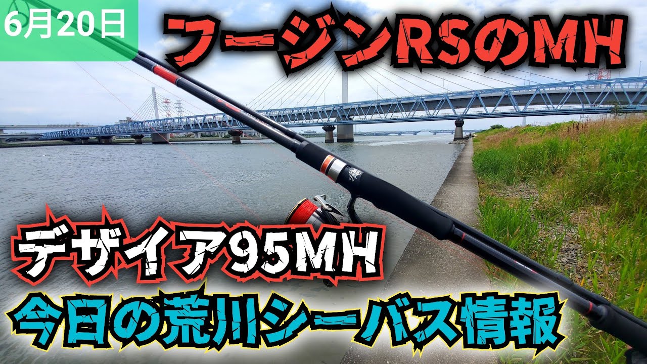 荒川シーバス情報】フージンRSのデザイア95MHでビッグベイト〜色々と