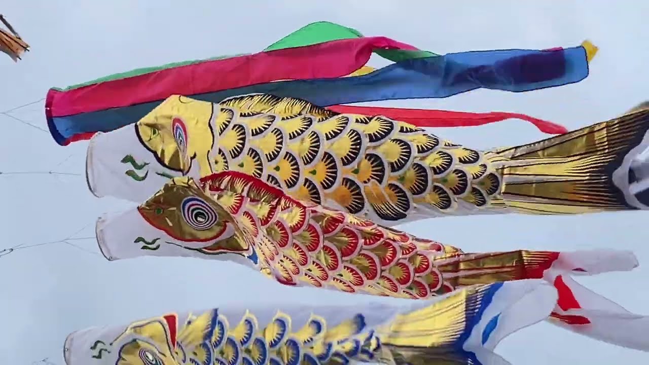 maxresdefault.jpg?sqp=-