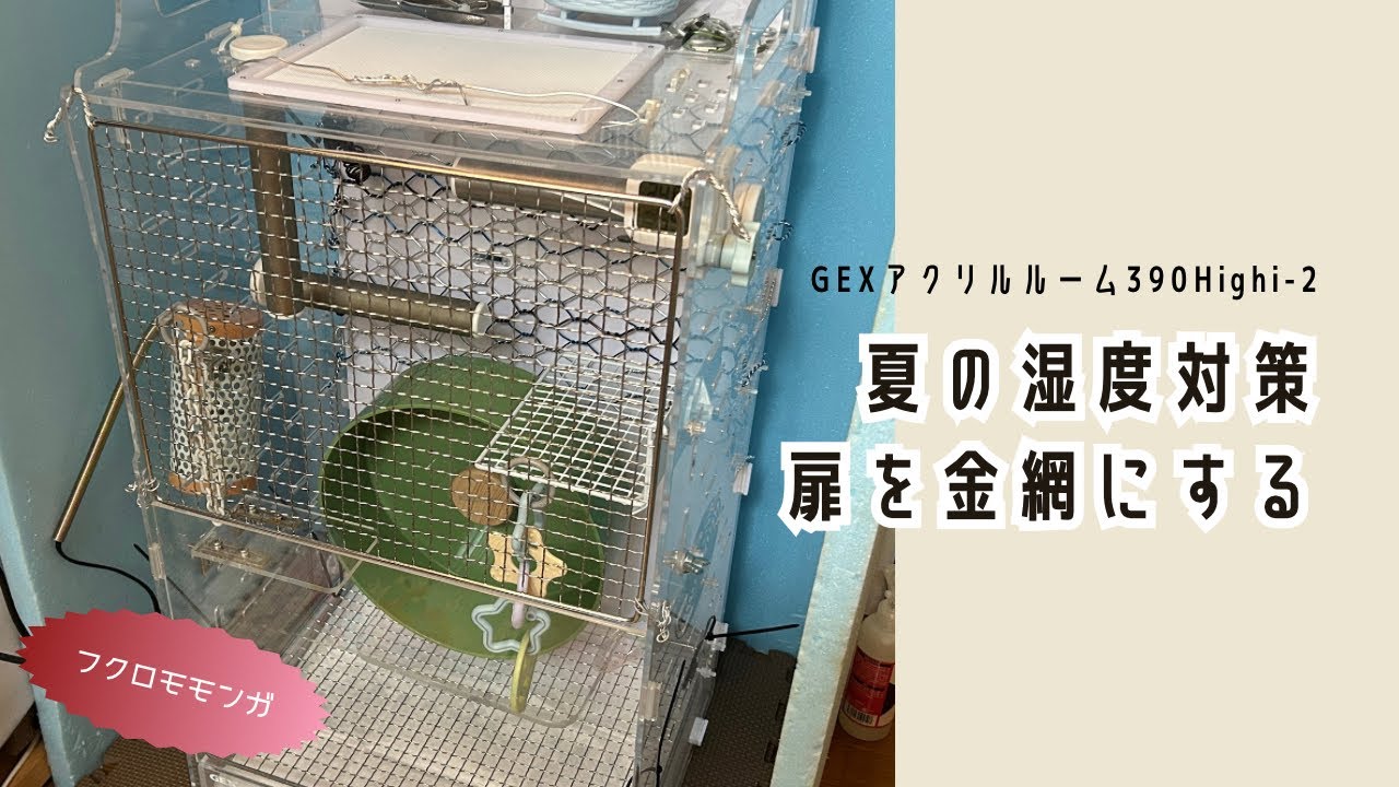 飼育日記】GEXアクリルルーム390Highi-2の扉を金網にしてみた！（夏の
