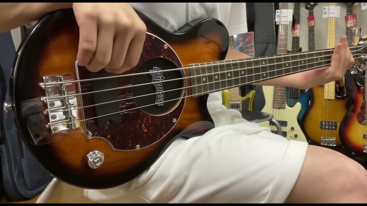 PIGNOSEのアンプ内蔵ミニベース - YouTube