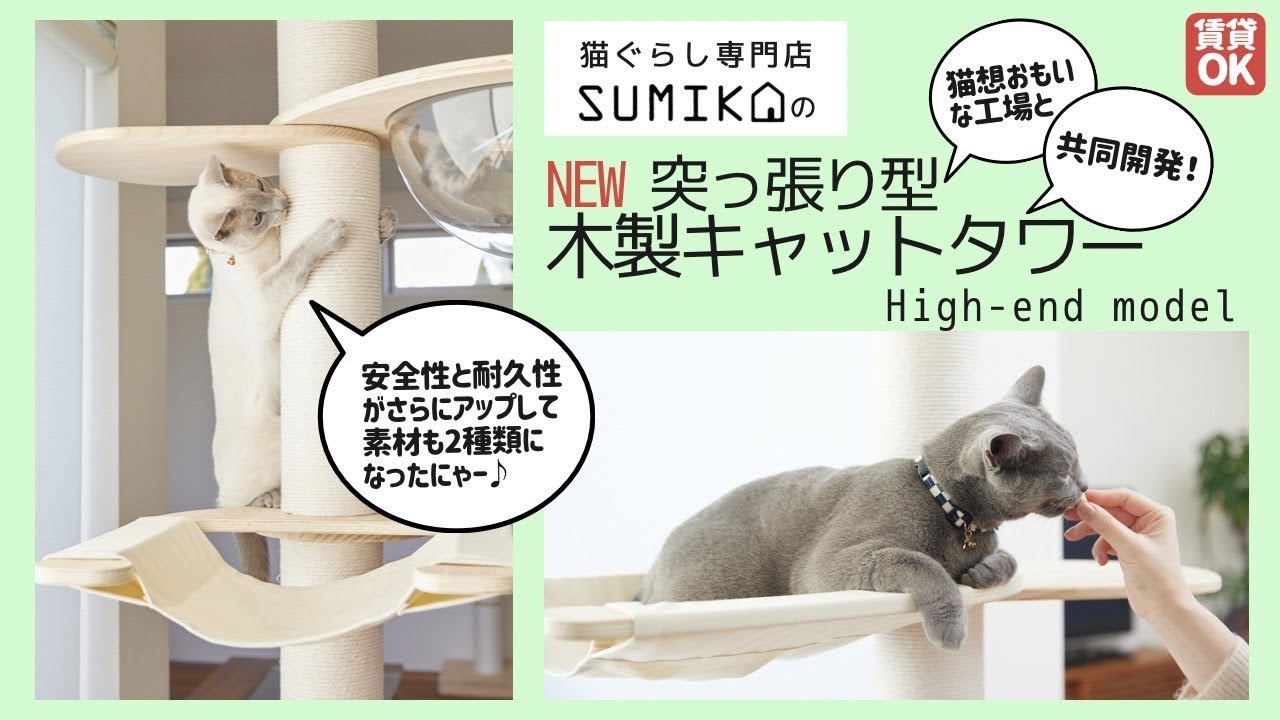キミとワタシのSUMIKA】保護猫活動にも取り組む”猫想いな工場”と共同