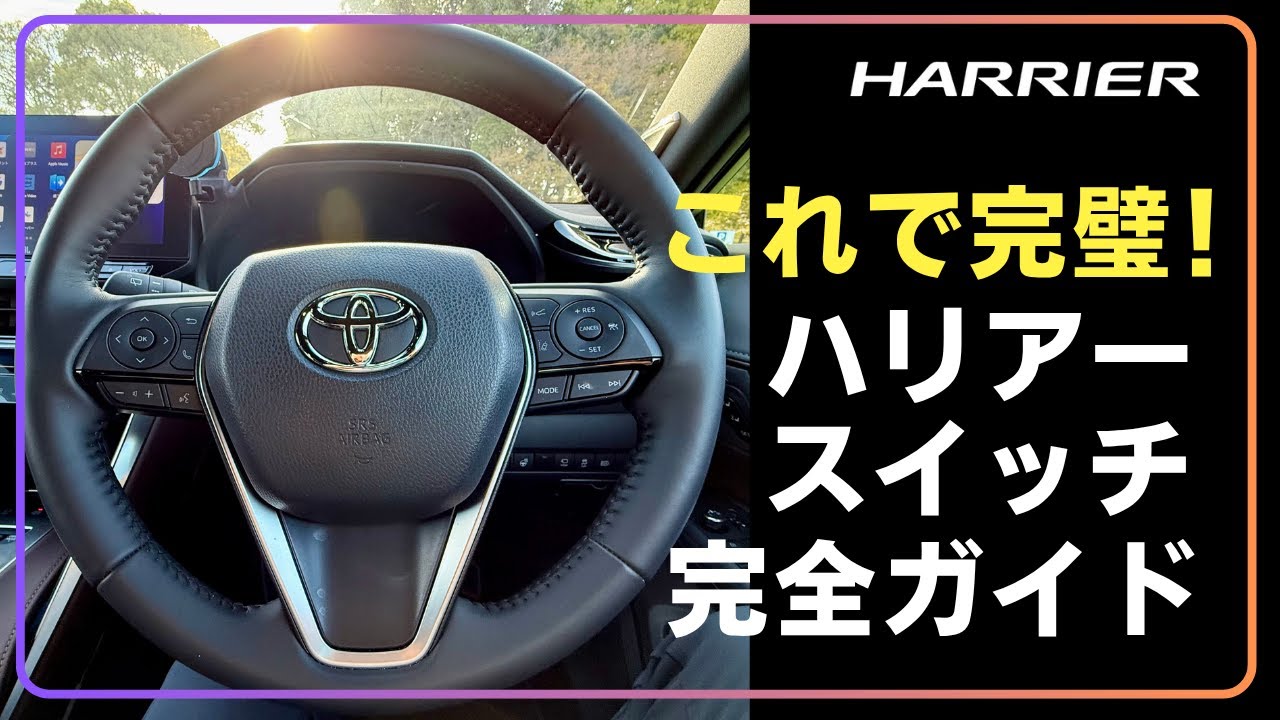 Harrier] This is perfect! Complete guide to various switches | 8