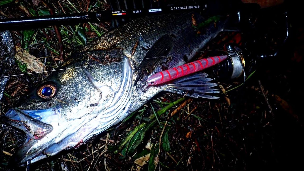 2024年新製品ボティア60S - YouTube