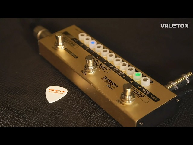 Dapper Acoustic Mini デモ：アコースティックの全て - YouTube