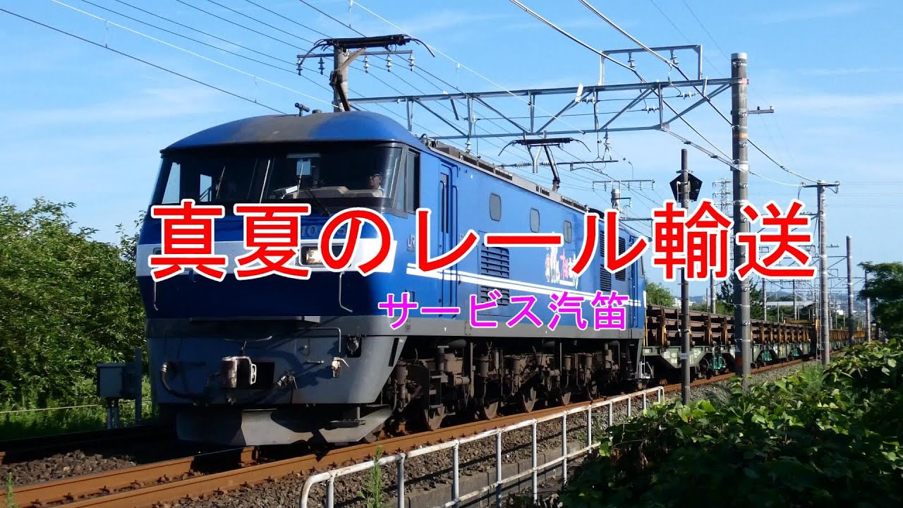 JR貨物 真夏のレール輸送 臨8090レ EF210-154[吹]＋日鐵チキ21B 東海道