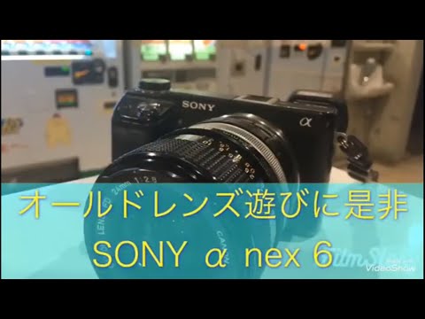 オールドレンズ遊びに最高なミラーレス一眼、SONY α nex6 カメラ初心者