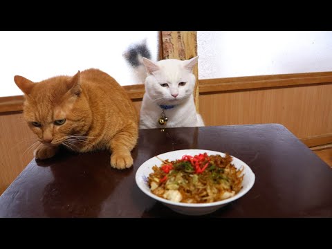 ちゃぶ台の上の焼きそば 260206 - YouTube