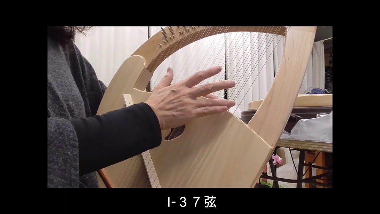 SANSOライアーⅡ (37弦) 中級タイプ